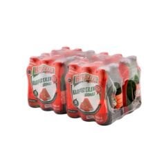 BEYPAZARI Karpuz Çilek Aromalı Soda 200ml (24 lü koli olarak satılır)