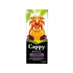 CAPPY Karışık Meyve Nektarı 200ml (27 adet olarak koli ile satılır)