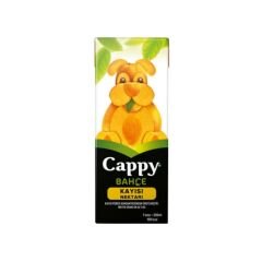 CAPPY Kayısılı Meyve Nektarı 200ml (27 adet olarak koli ile satılır)