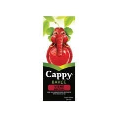 CAPPY Vişneli Meyve Nektarı 200ml (27 adet olarak koli ile satılır)
