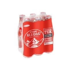 ULUDAĞ Efsane Gazoz 250ml (24 adet olarak koli ile satılır)