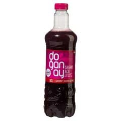 DOĞANAY Şalgam Suyu 1L Acılı  (12 adet olarak koli satılır)