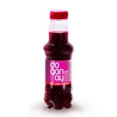 DOĞANAY Şalgam Suyu 300ml Acılı  (24 adet olarak koli satılır)